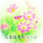 lysiss様専用ページ