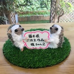 オーダーメイド　媛ちゃん　あみぐるみ♪