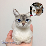 手乗り猫 香箱座り ☆ミルクちゃん☆