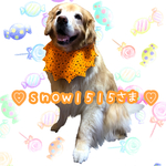 ♡snow1515様オーダー♡
