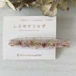 ＊ボタニカル×ヘアクリップ＊（ヘアクリップ）