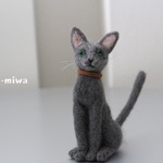 ネコちゃん＊ロシアンブルー