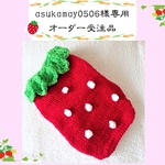 専用　いちごのセーター赤　カニヘンダックス用　オーダー受注品　送料無料　