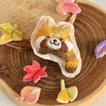 [melody710さま用ページ]ひょっこりレッサーパンダ手刺繍ブローチ