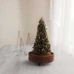Botanical glassdome  Tree №46