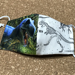 接触冷感/涼感加工マスク　子供用　ヤバイ　恐竜00🦖🦕