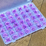 お花屋さんが作ったラベンダー色のアスターのドライフラワーです！
