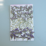 押し花ブルーファンタジア とかすみ草