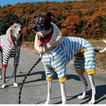 『もこもこフードロンパース🐏』