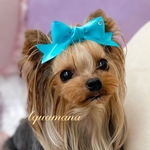 【 犬用　バレッタ 】 おしゃれ　トップノットペット　子供　ヘアアクセサリー　リボン　バレッタ　♡AquaMana♡