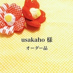 usakaho 様　専用オーダーページ　ミニケース・一冊用ファスナーケース・二冊用ファスナーケース
