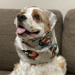 かっこいいアメリカン柄◉中型犬用スヌード　犬用スヌード