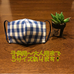 【送料無料】呼吸がしやすい、さらりとした布マスク⭐︎青色ギンガムチェック⭐︎ゴム色とサイズが選べる！アイロン不用！