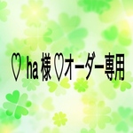 ♡ ha 様♡ オーダー専用(280k)
