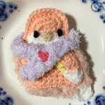 meru1776様専用☆ アキクサインコ　ミニカイロケース