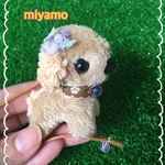 5センチ.お散歩ワンちゃん、ブラウン