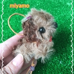 5センチ.お散歩ワンちゃん、ブラウン