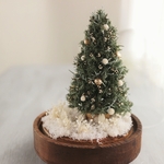 Botanical glassdome  Tree №47