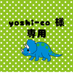 yoshi-co様専用　【おなまえプラマグ】【おなまえワッペン】トリケラトプス
