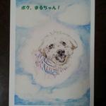 【lilymaru様オーダー品】愛犬イラスト
