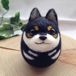 黒柴犬