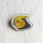 （ノーマル男子）手描き☆色鉛筆画のブローチ・オカメインコ