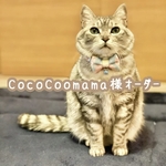 ♡CocoCoomama様♡