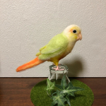 羊毛フェルト ウロコインコサンチーク