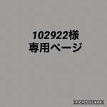 エコバック　大