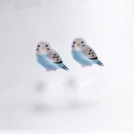 No.736  セキセイインコのピアス☆