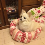 ☆うさぎ…様専用ページ☆