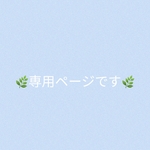 専用ページです✧︎