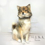 狼　狼犬　川上犬　ウルフドッグ　羊毛フェルト　アートドール
