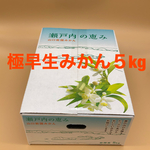 10月17日、18日収穫分  山口岩国みかん(極早生)　5kg