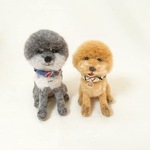 パティー君 リボンちゃん専用ページ
