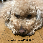 machimasu専用です