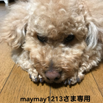 maymay1213 専用です