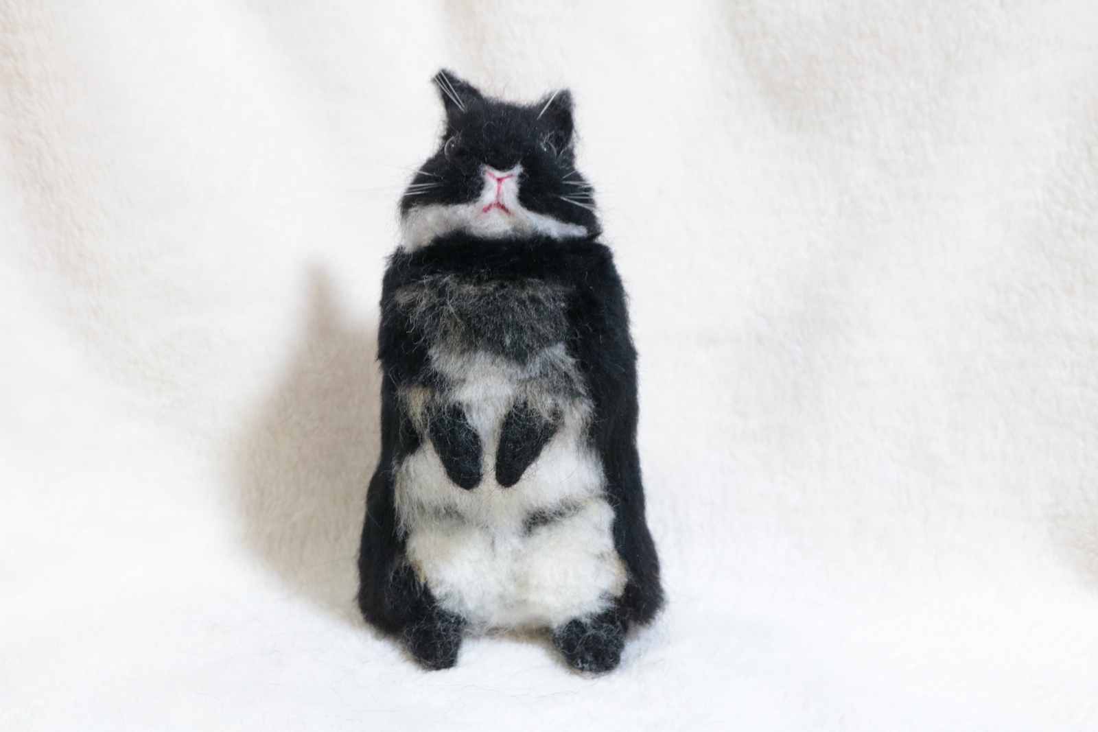 うたっちをしているブラックオターのうさぎさん ネザーランド