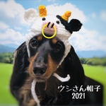 丑年☆ウシさん帽子2021《ペット用》