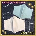 ★大人用マスク★ 2枚セット