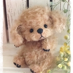 テディベア✧︎トイプーちゃん