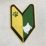 猫と初心者マーク