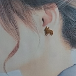 わんこポストピアス
