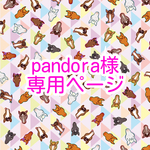 pandora様専用