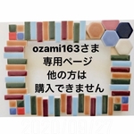 ozami163さま専用ページ