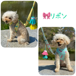 リボン ハーネス ペアセット（お客様ご予約分）
