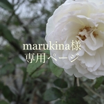 marukina様  専用ページ