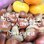 ミンネ限定セット　発送日をご確認下さい