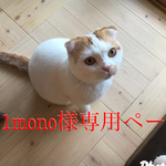 11mono様専用ページ