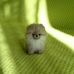 お取り置き品 ポメラニアン ウルフセーブル パピー 羊毛フェルト